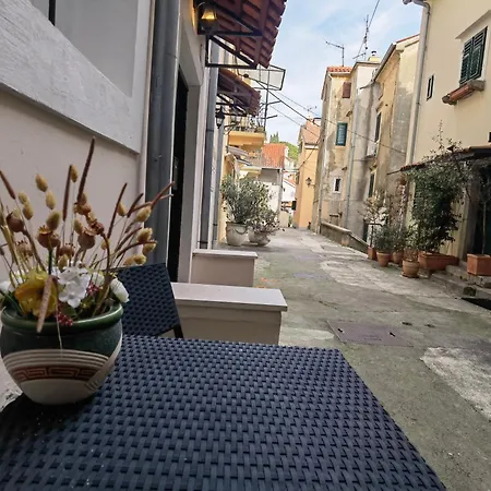 Zlatko , Steps To The Sea *